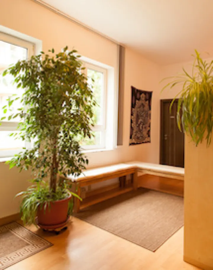 Satyam Yoga Studio — Yoga in Schleußig, Leipzig