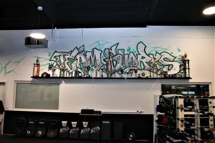 TEAM SHARKS SINDELFINGEN — kickboxen-studio in Sindelfingen, Stuttgart — 2