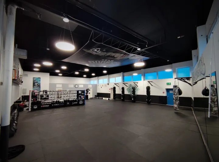 TEAM SHARKS SINDELFINGEN — kickboxen-studio in Sindelfingen, Stuttgart — 3