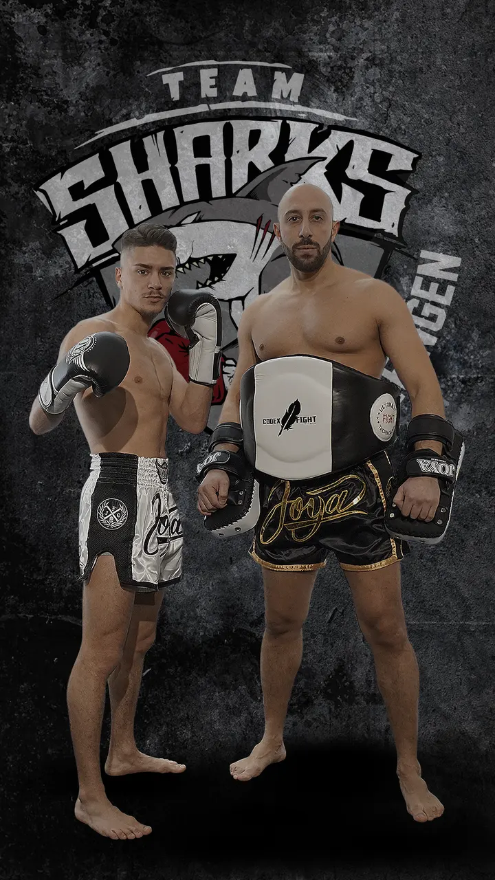 TEAM SHARKS SINDELFINGEN — kickboxen-studio in Stuttgart — 5