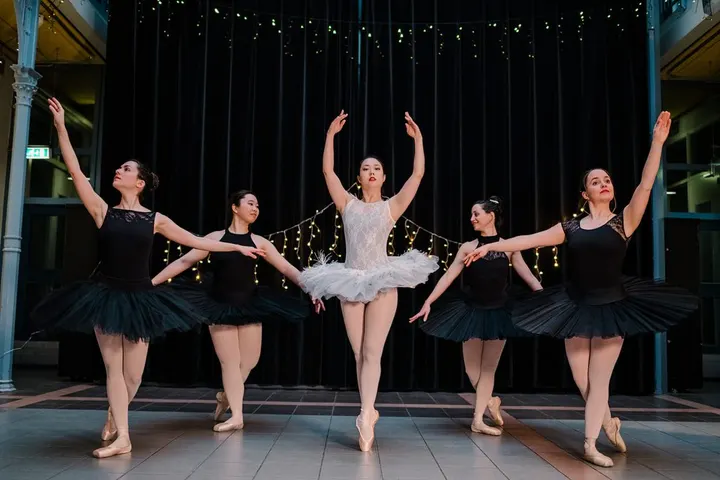 Erdé Ballet — Dans in Binnenstad, Delft