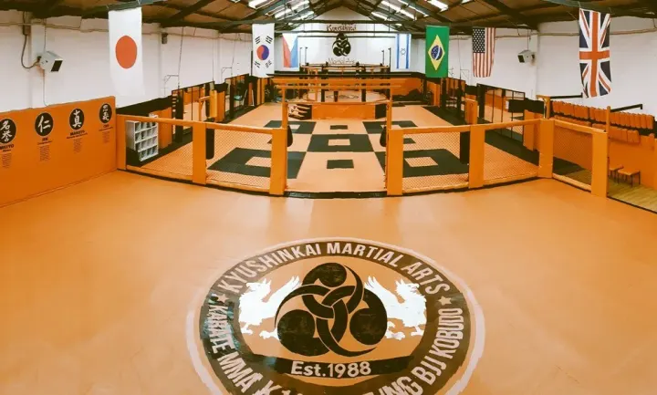 Kyushinkai Martial Arts and Fitness Centre — Martial Arts in Telford