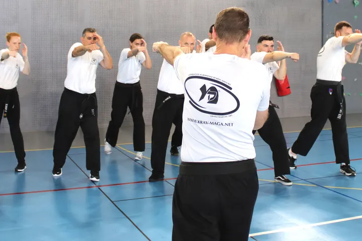 Krav Maga Sporting Provence Ouest — Arts martiaux à Le Pont du Las, Toulon