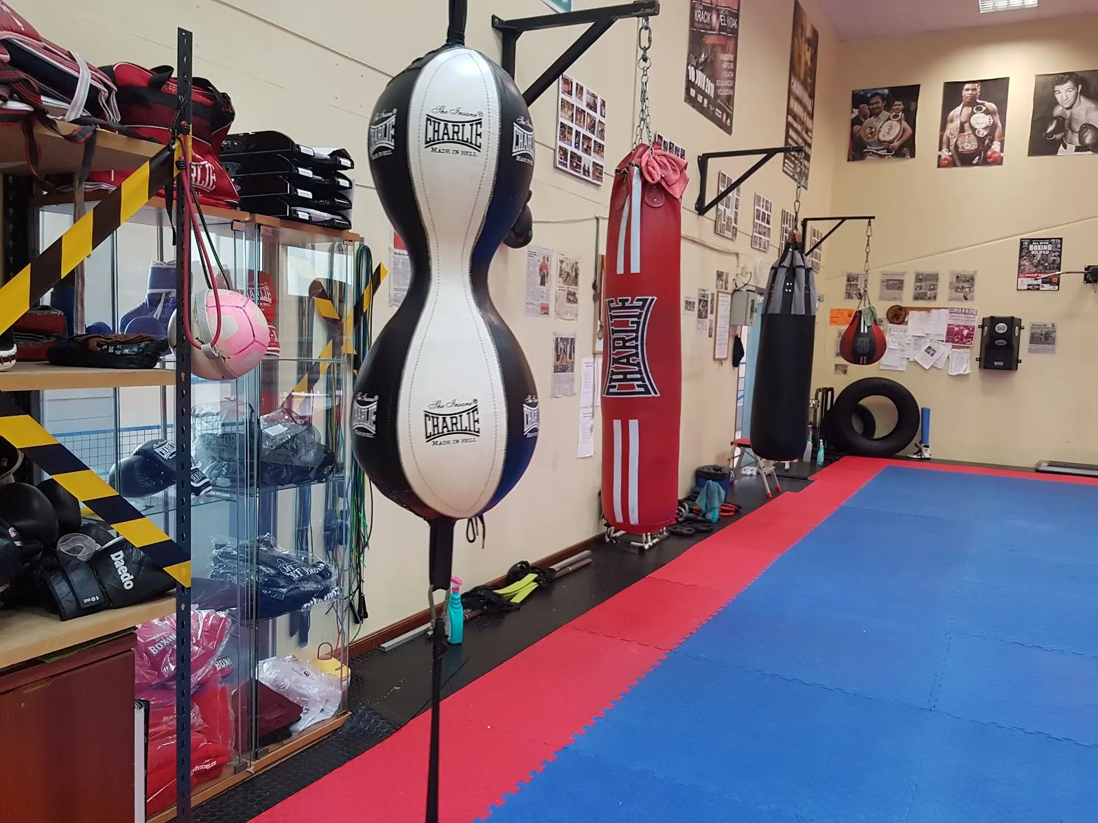 Mt Boxeo Txerra — artes marciales-studio en Sestao — 2