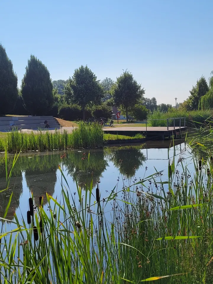 Hallbergmoos Calisthenic Park — calisthenics-studio in Hallbergmoos — 2