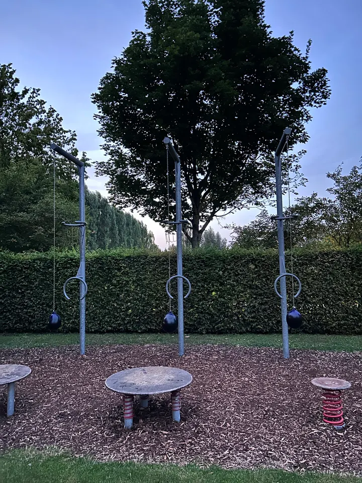 Hallbergmoos Calisthenic Park — calisthenics-studio in Hallbergmoos — 3