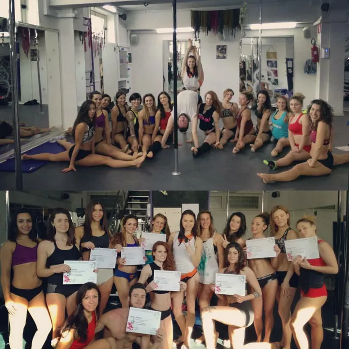SheWolf Pole Dance Studio — pole dance-studio a Napoli — 4