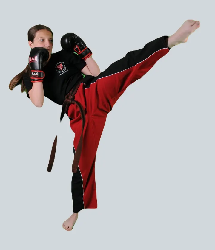 Ashby and Coalville Martial Arts — martial arts-studio in Hugglescote and Donington le Heath, Coalville — 2