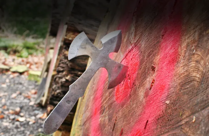 Adventure Now - Botany Bay Woods — martial arts-studio in Manchester — 5