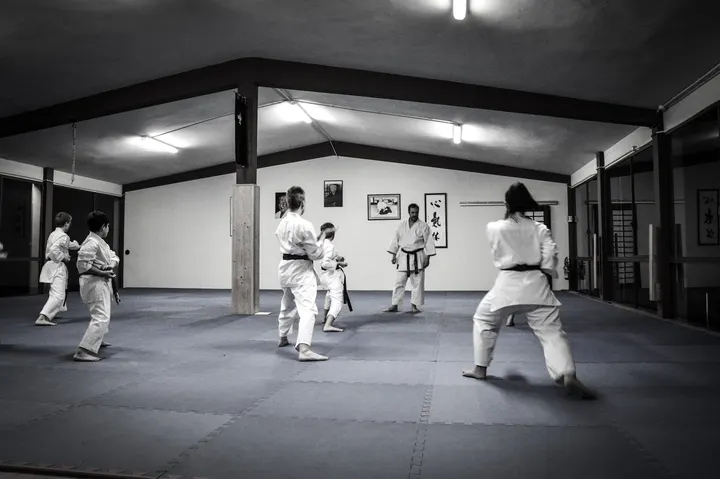 Shin Ki Tai asd — arti marziali-studio a Molinetto, Parma — 2