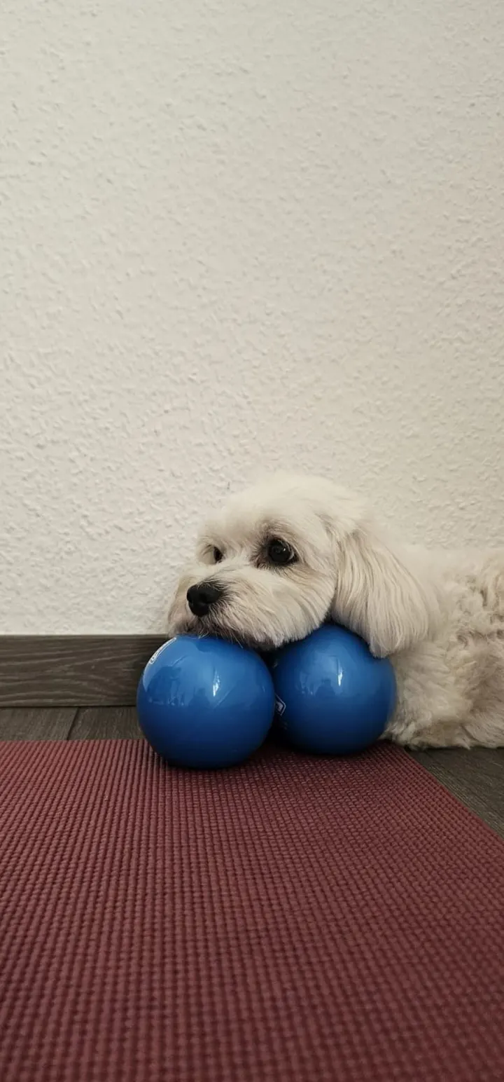 Katy Pilaty — pilates-studio in Leipzig — 3