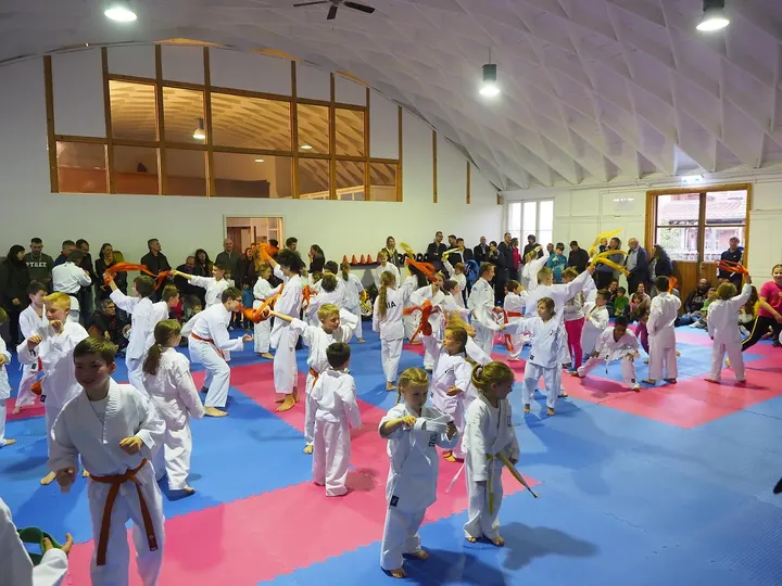 Zanshin Academy Tübingen — Kampfsport in Derendingen-Zentrum, Tübingen