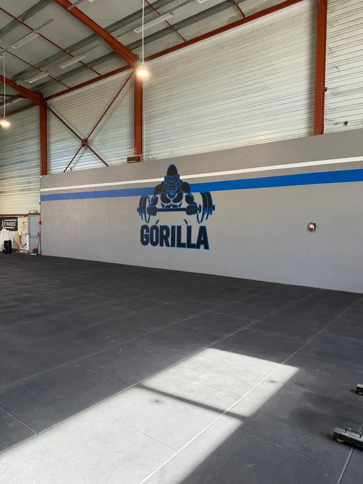 Gorilla Colomiers — salle de fitness-studio à Colomiers, Toulouse — 2