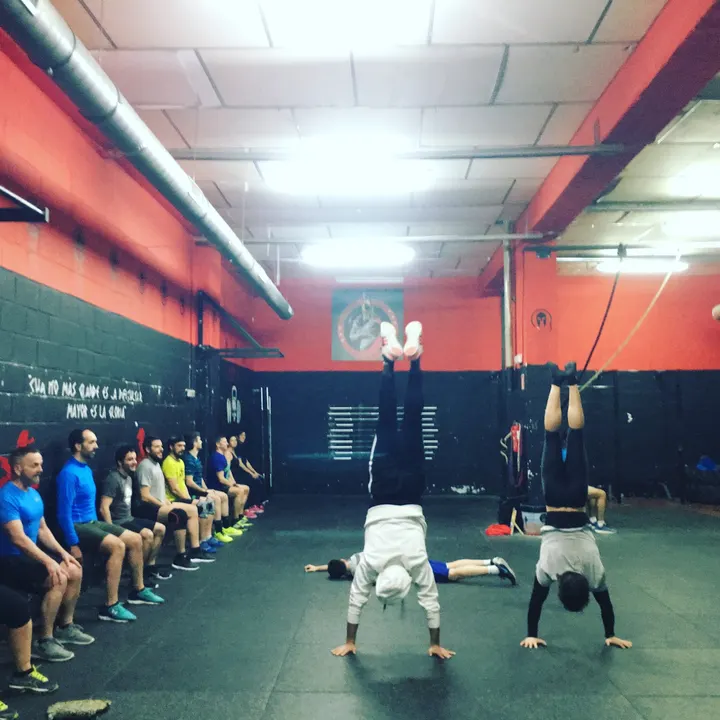 Spartan Boxing Club Madrid — artes marciales-studio en Hortaleza, Madrid — 2