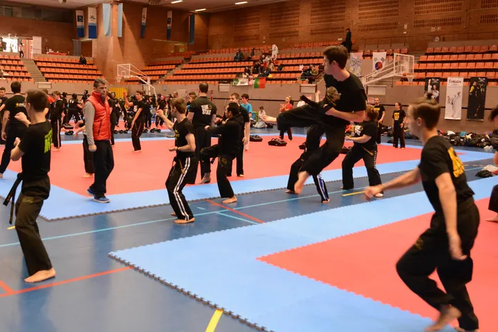 Artes Marciales MAC Sant Cugat — artes marciales-studio en Costa del Golf, Sant Cugat del Vallès — 2