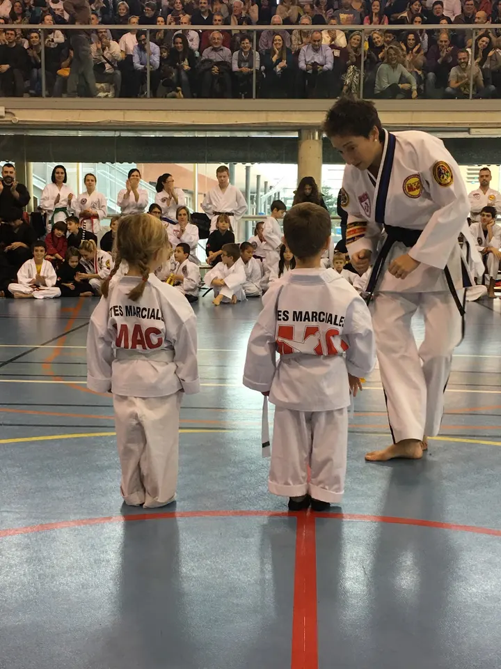 Artes Marciales MAC Sant Cugat — artes marciales-studio en Sant Cugat del Vallès — 4