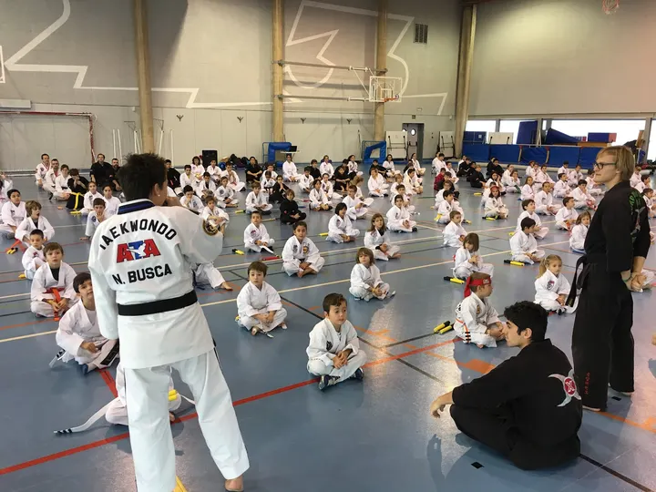 Artes Marciales MAC Sant Cugat — artes marciales-studio en Sant Cugat del Vallès — 5