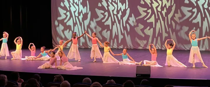 Ecole de Danse Gavino — danse-studio à Dijon — 5