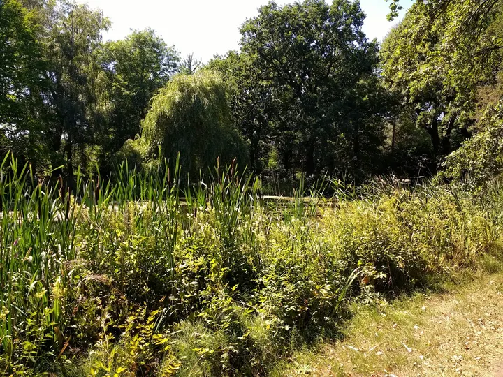 Yoseikan Dojo Leipzig — kampfsport-studio in Großzschocher, Leipzig — 2
