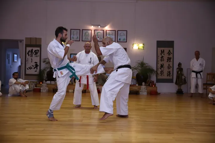 Okinawa Shorinryu Shidokan Karatedo Düsseldorf — kampfsport-studio in Düsseltal, Düsseldorf — 3