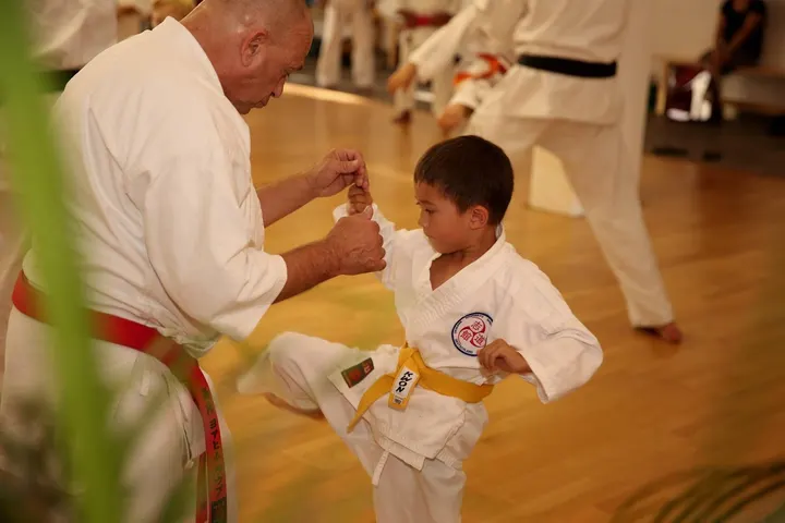 Okinawa Shorinryu Shidokan Karatedo Düsseldorf — kampfsport-studio in Düsseldorf — 5