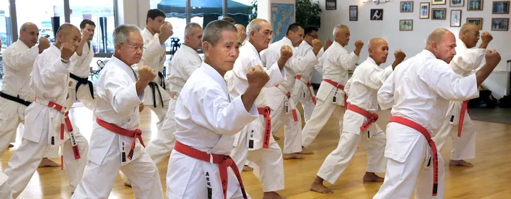 Okinawa Shorinryu Shidokan Karatedo Düsseldorf — Kampfsport in Düsseltal, Düsseldorf