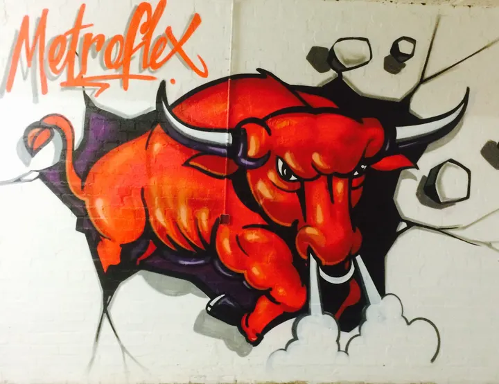Metroflex Gym and pro Jiu jitsu — bjj-studio in Birmingham — 3