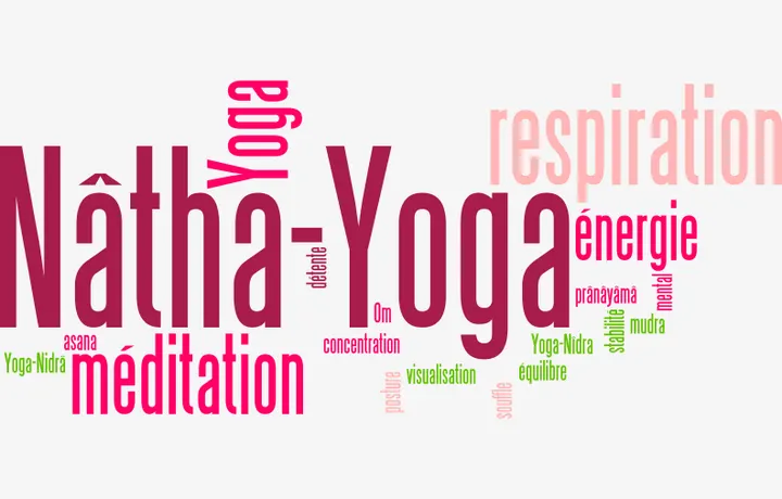Nâtha-Yoga 01 — yoga-studio à Saint-Denis-lès-Bourg — 4