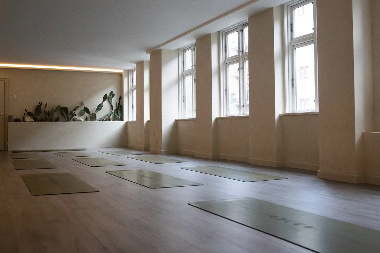 Ebel Yoga ApS — yoga-studio i Frederiksberg — 3