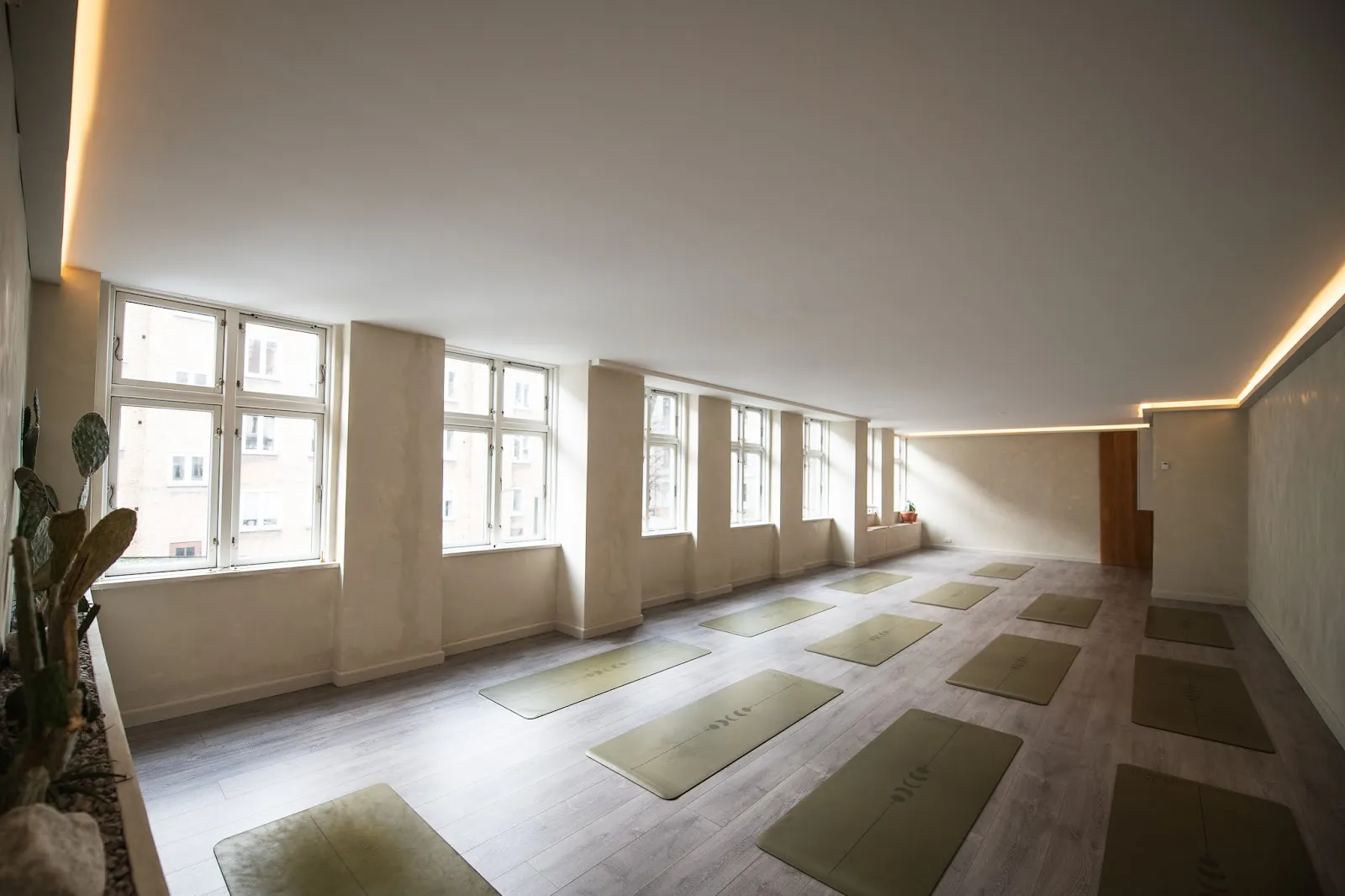 Ebel Yoga ApS — yoga-studio i Frederiksberg — 4