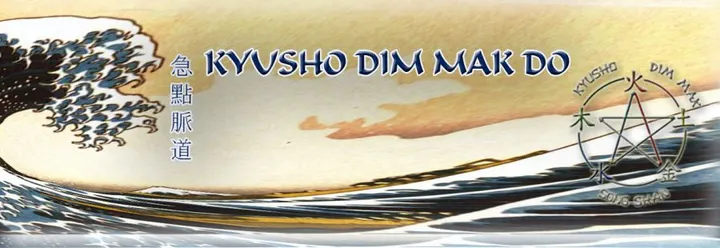 Song Shan, Centro Tradicional De Artes Orientales — martial arts-studio i San Nicasio, Leganés