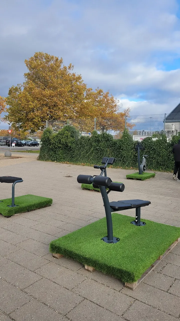 Street Workout, Valby Hallen — træningsstudio i København — 4