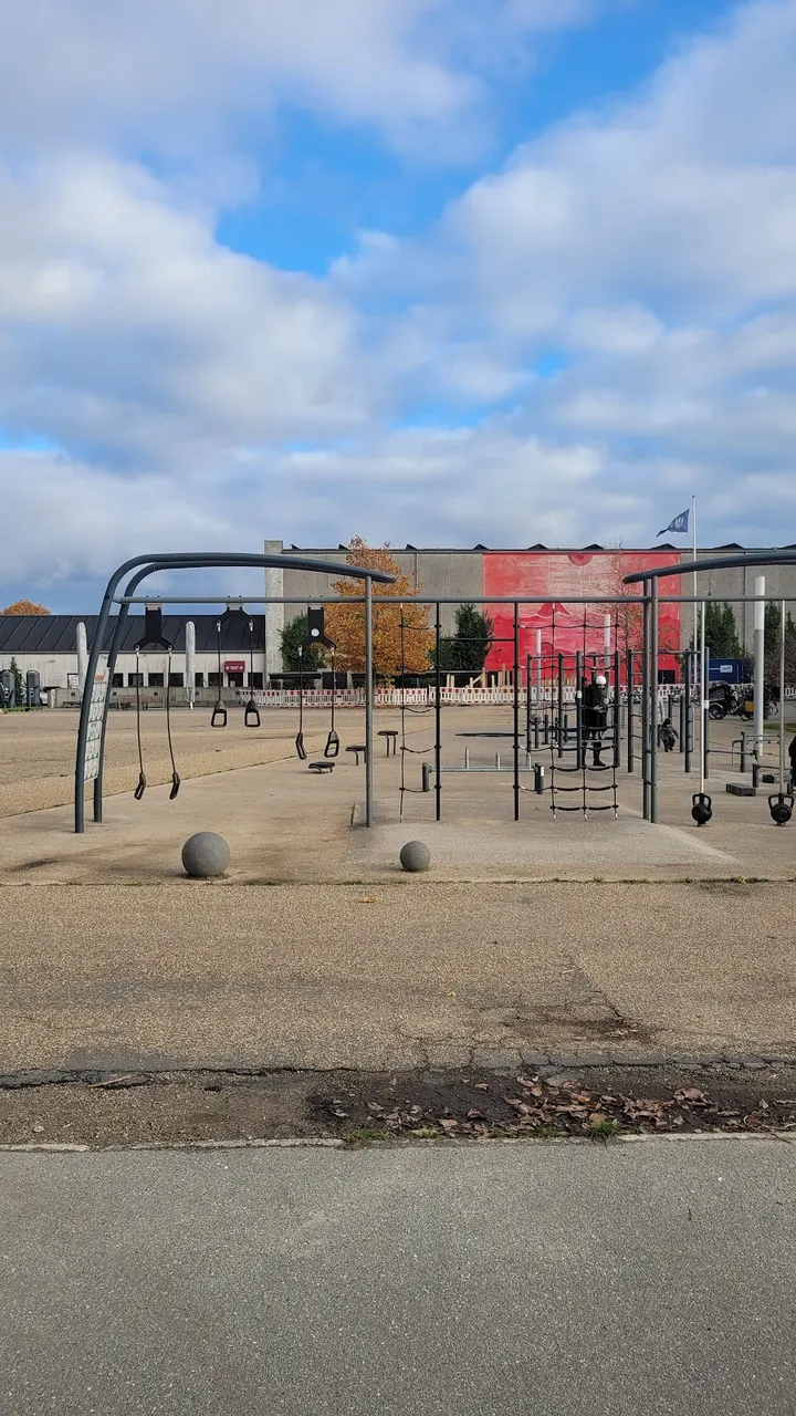 Street Workout, Valby Hallen — træningsstudio i København — 5