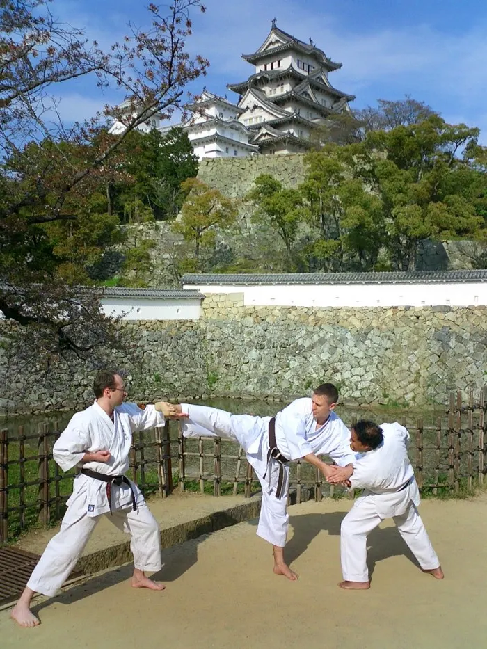 NIHON TAI-JITSU - ARGENTEUIL — arts martiaux-studio à Argenteuil — 3
