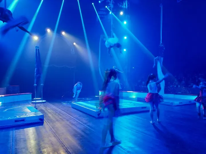 Ecole de cirque Alexis et Anargul Gruss — arts aériens-studio à Clos du Quiard, Saint-Jean-de-Braye — 2