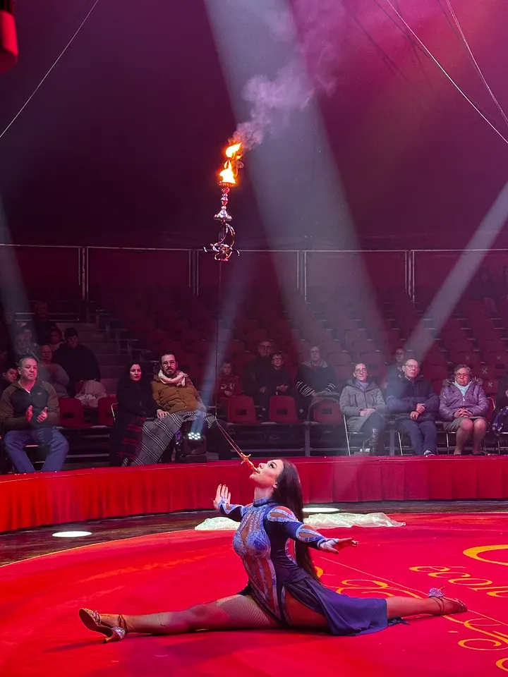 Ecole de cirque Alexis et Anargul Gruss — arts aériens-studio à Clos du Quiard, Saint-Jean-de-Braye — 3