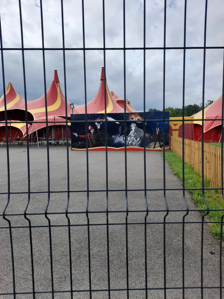 Ecole de cirque Alexis et Anargul Gruss — arts aériens-studio à Saint-Jean-de-Braye — 3