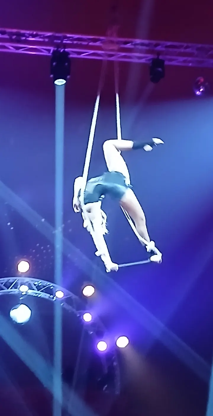 Ecole de cirque Alexis et Anargul Gruss — arts aériens-studio à Saint-Jean-de-Braye — 5