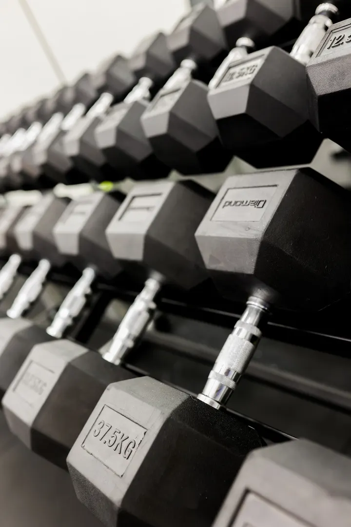 Body Fit Evolution Gym — palestre-studio a Sant'Antonio, Catanzaro — 3
