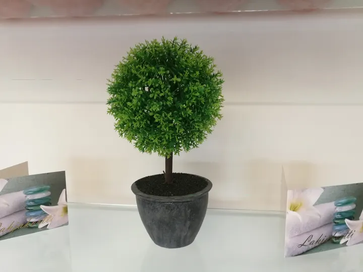 EcoHarmonia Pensarinmäki — wellness-studio – Kokkola — 6