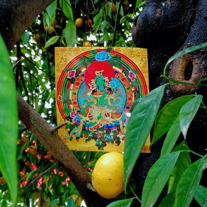 El Jardin del Dharma — meditación-studio en Palma — 4