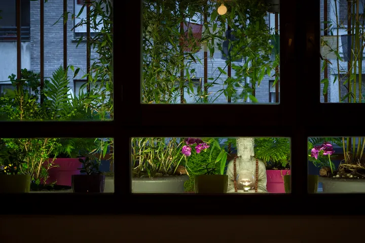 Yoga Goa — yoga-studio en Iturrama, Pamplona — 2