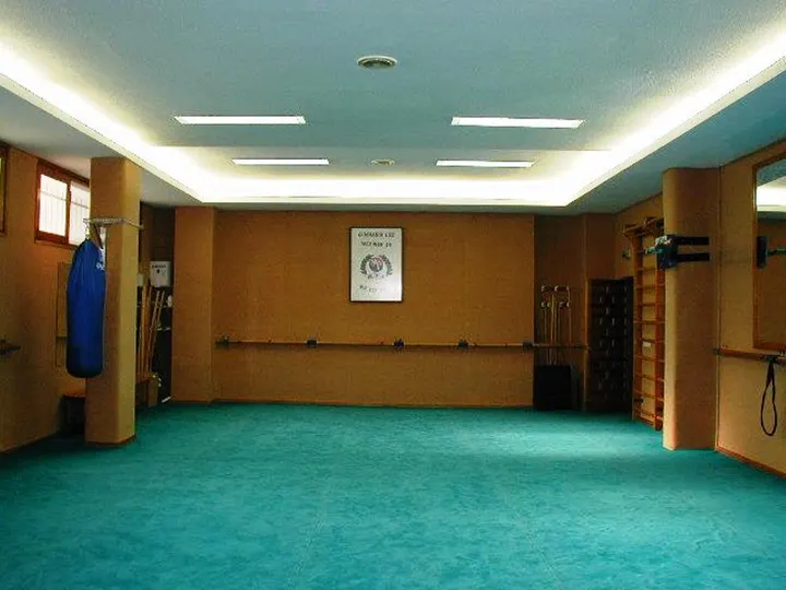 Gimnasio Lee — Artes marciales en Ermitagaña-Mendebaldea, Pamplona/Iruña