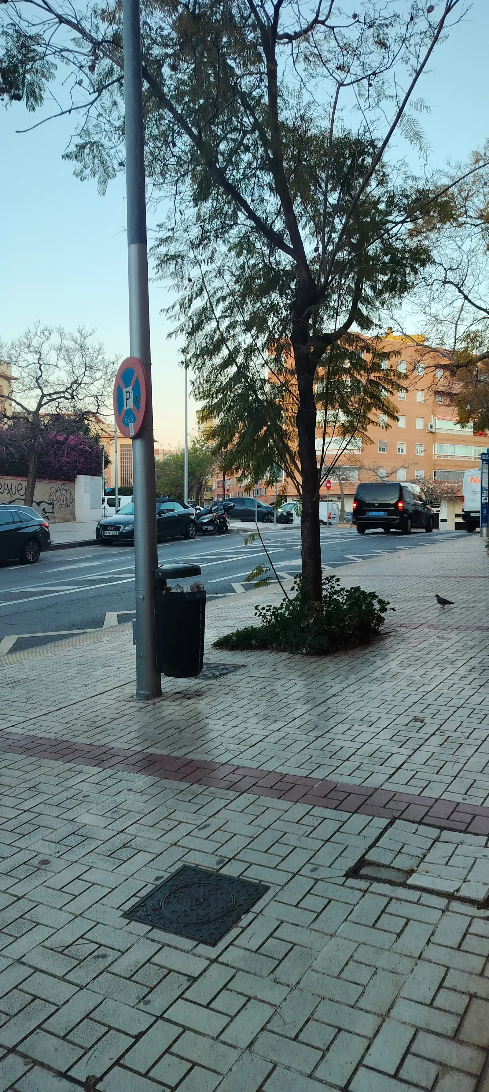 Ashtanga Yoga Málaga — yoga-studio en Málaga — 5