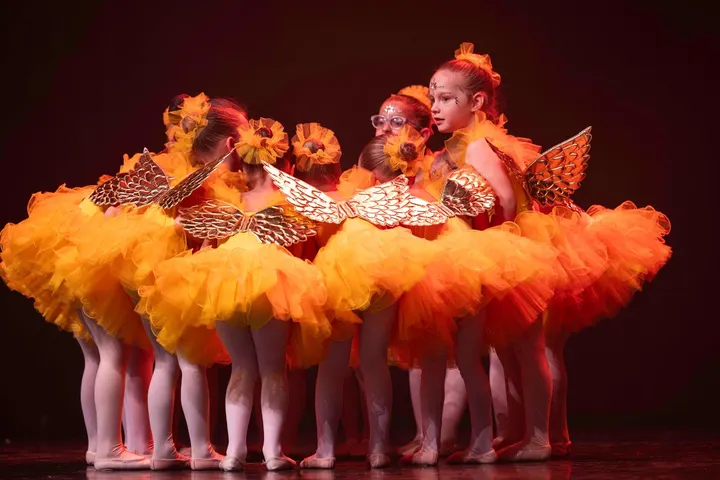 ECOLE DE DANSE ENVOL — danse-studio à Berriat Saint-Bruno, Grenoble — 2