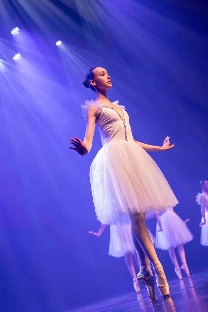 ECOLE DE DANSE ENVOL — danse-studio à Grenoble — 3