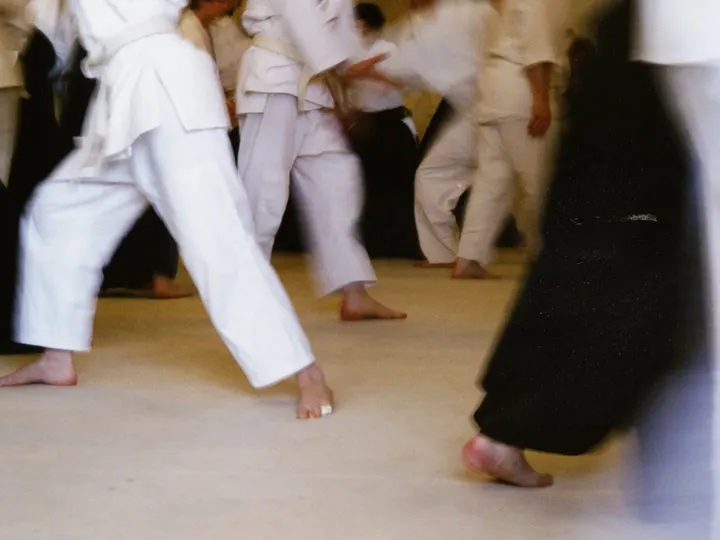 Jiki Shin Kan — vechtsport-studio in Arnhem — 4