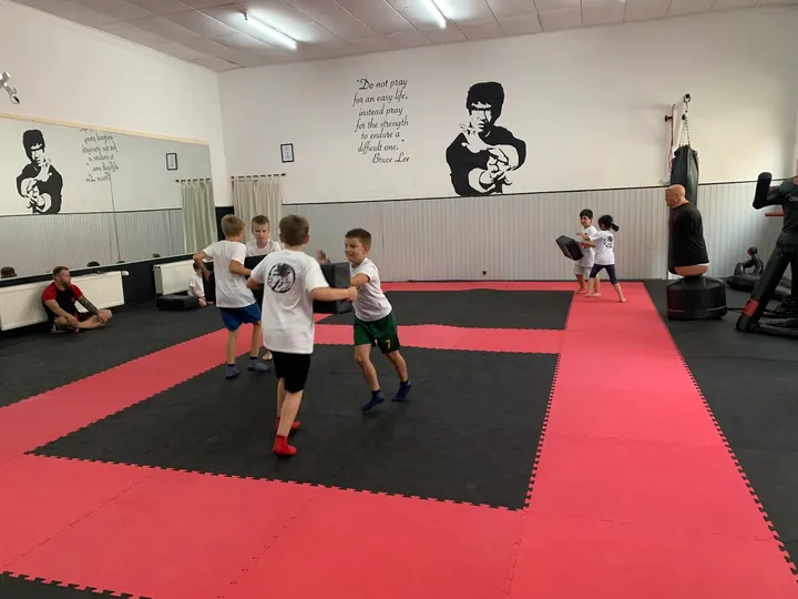 Martial-Arts-Akademie — Kampfsport in Hirschacker, Schwetzingen