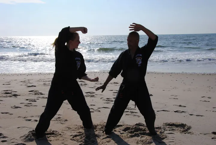 Dogtown American Kenpo Houten IJsselstein — Vechtsport in IJsselstein