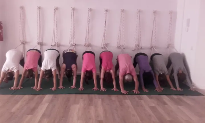 Iyengar Yoga Sevilla — yoga-studio en Sevilla — 4